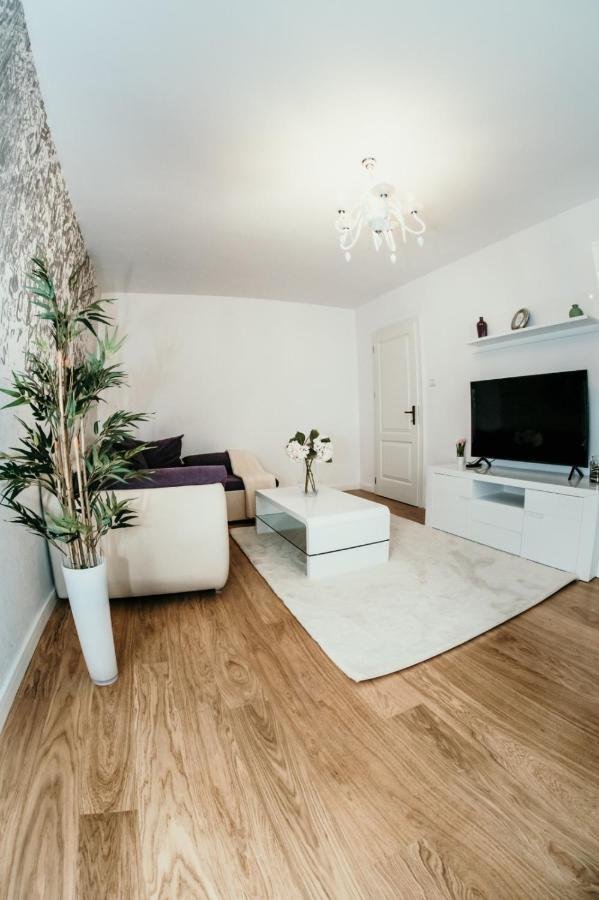 Apartament De Lux Ultramodern In Zona Centrala Timişoara Extérieur photo